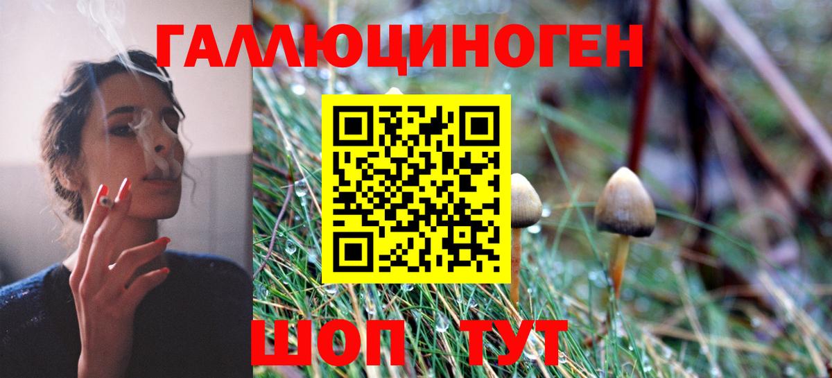 купить закладку  Псилоцибиновые грибы мицелий  Вход с VPN  Донской 